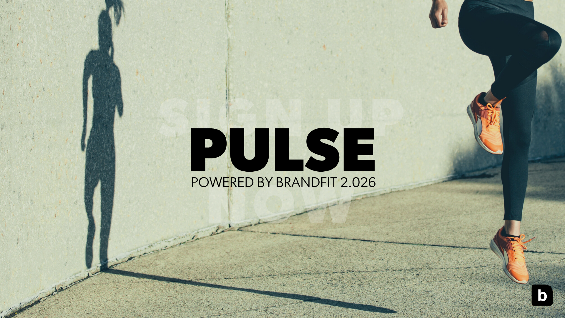 Kasse, Fitness, Web und Adv