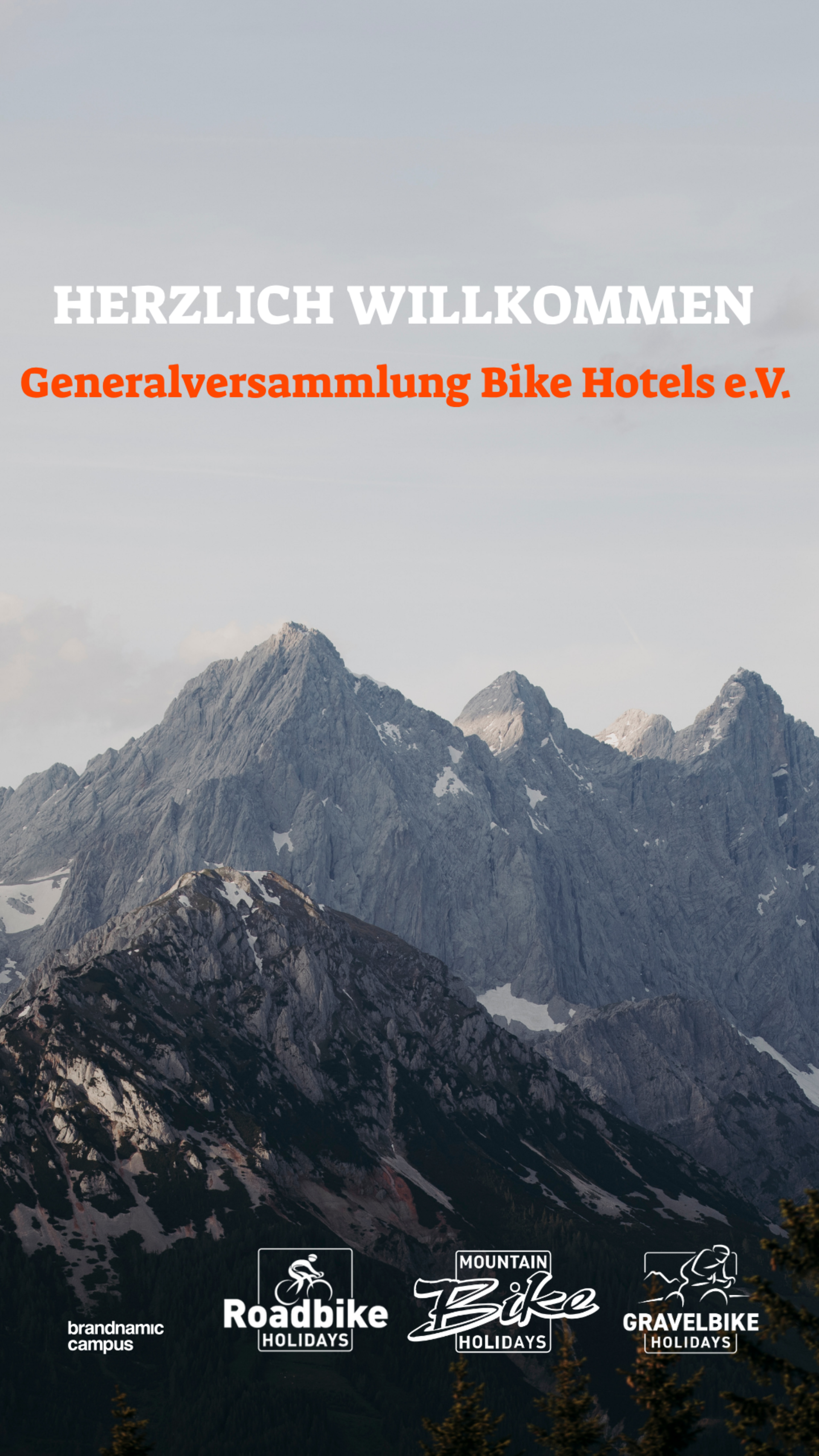 TMP Screen Hochformat